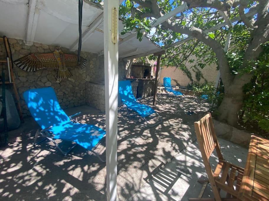 A L'Ombre Du Figuier ! Maisonnette Jardin / Parking / Proche Mer Frontignan Zewnętrze zdjęcie